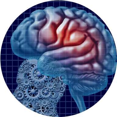 Types Of Traumatic Brain Injurieslearn More - Memory And The Self: Phenomenology, Science And Autobiography (392x392)