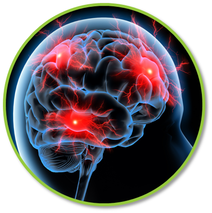 Brain Disorders - Padaczka (438x439)