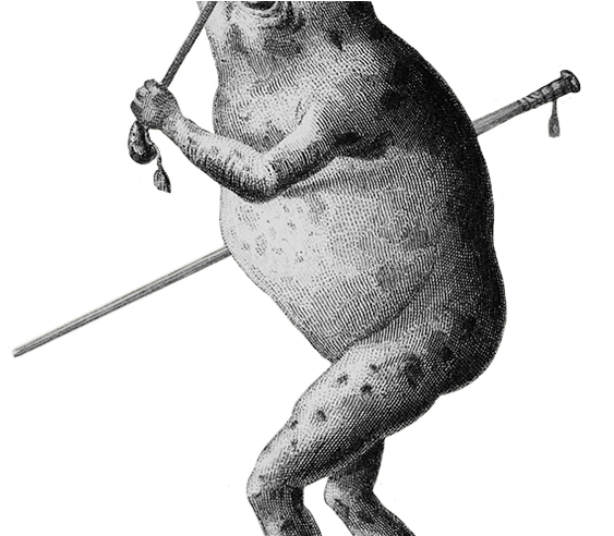 The Cool Drawings And Funny Clip Art Blog - Old Frog Illustrations (800x491)