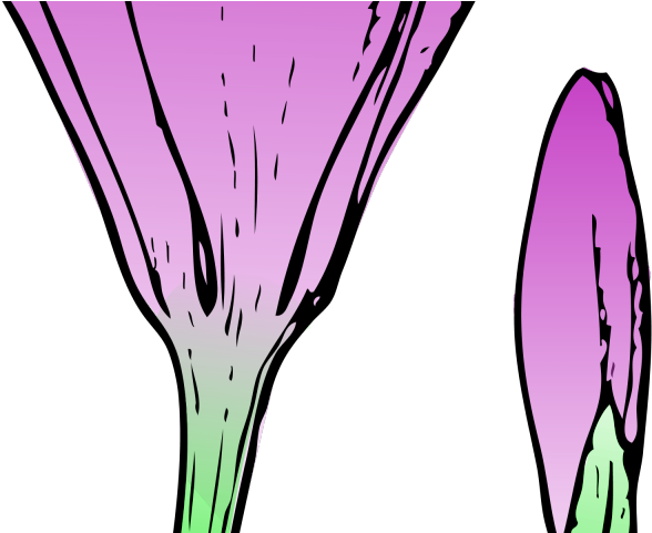 Bud Clipart Clip Art - Crocus Flower (640x480)