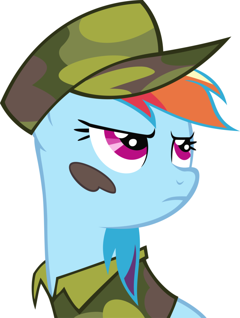 Jeffthunderbolt, Baseball Cap, Camouflage, Hat, Military, - My Little Pony Camouflages (772x1024)