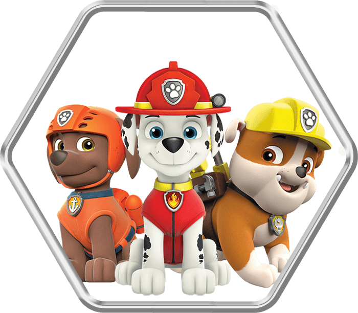 The Cast - Paw Patrol (700x612)