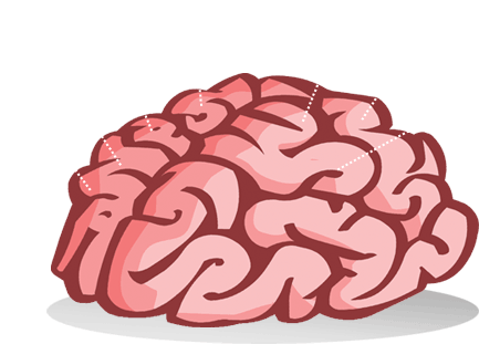 We Possess All The Skills Needed For Your Site - Most Important Organ Shower Curtain (467x421)