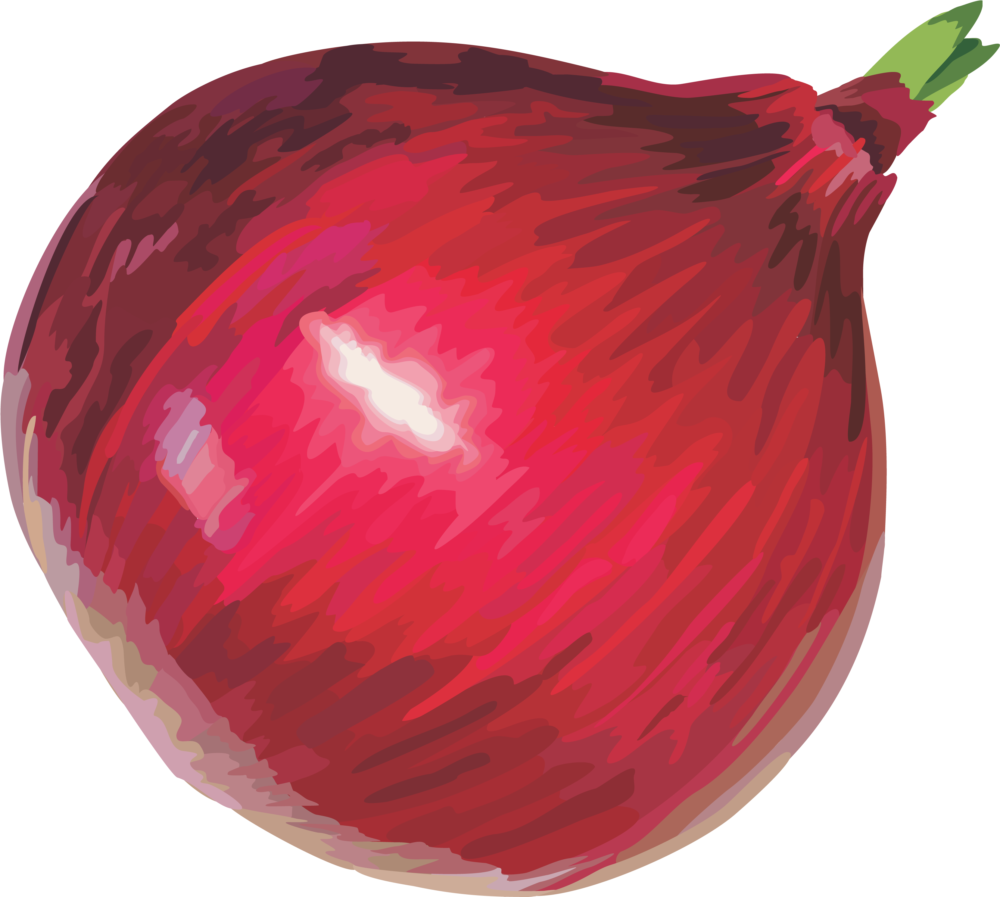 Clipart Of Onion - Red Onion Png (3351x2991)