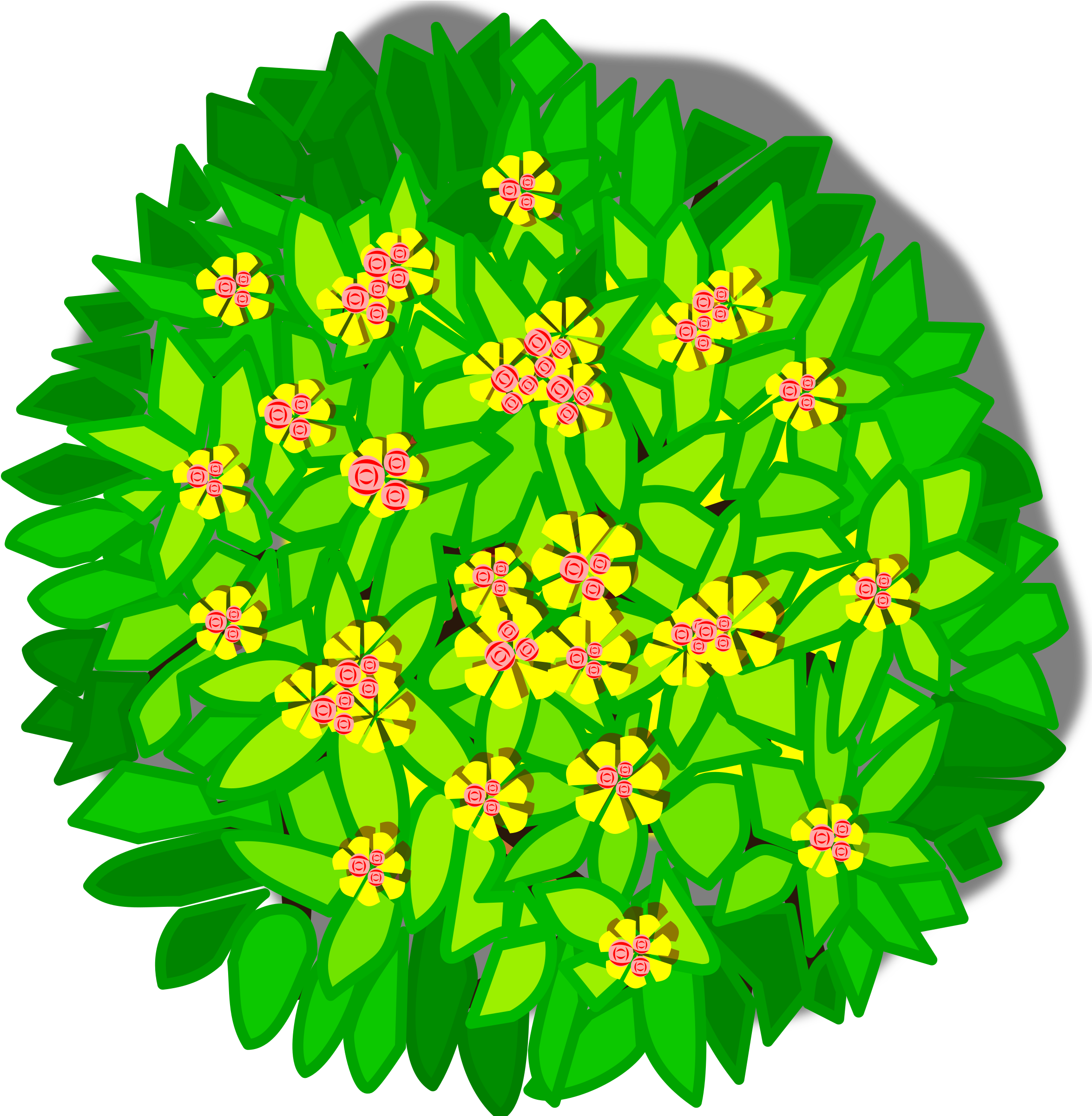 Пнг куст рисунок