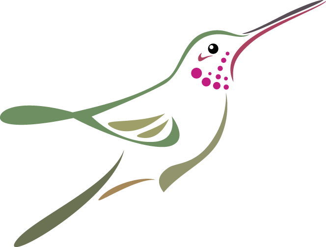 Tattoo Desilueta De Colibri (664x503)