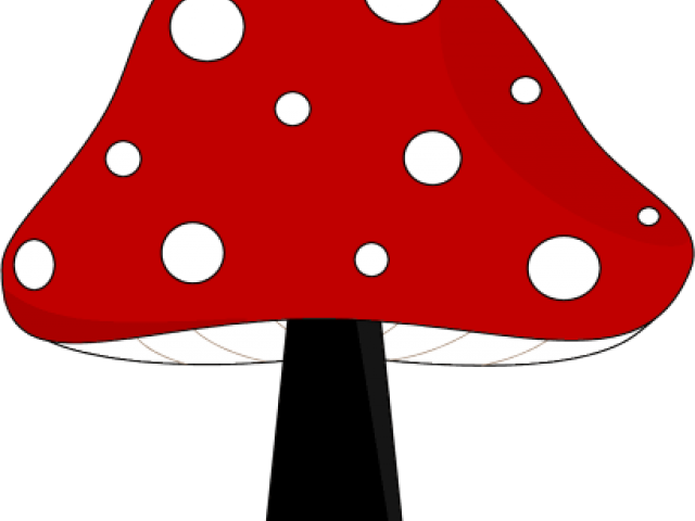 Mushroom Clipart Mashroom - Real Mushrooms Clipart (640x480)