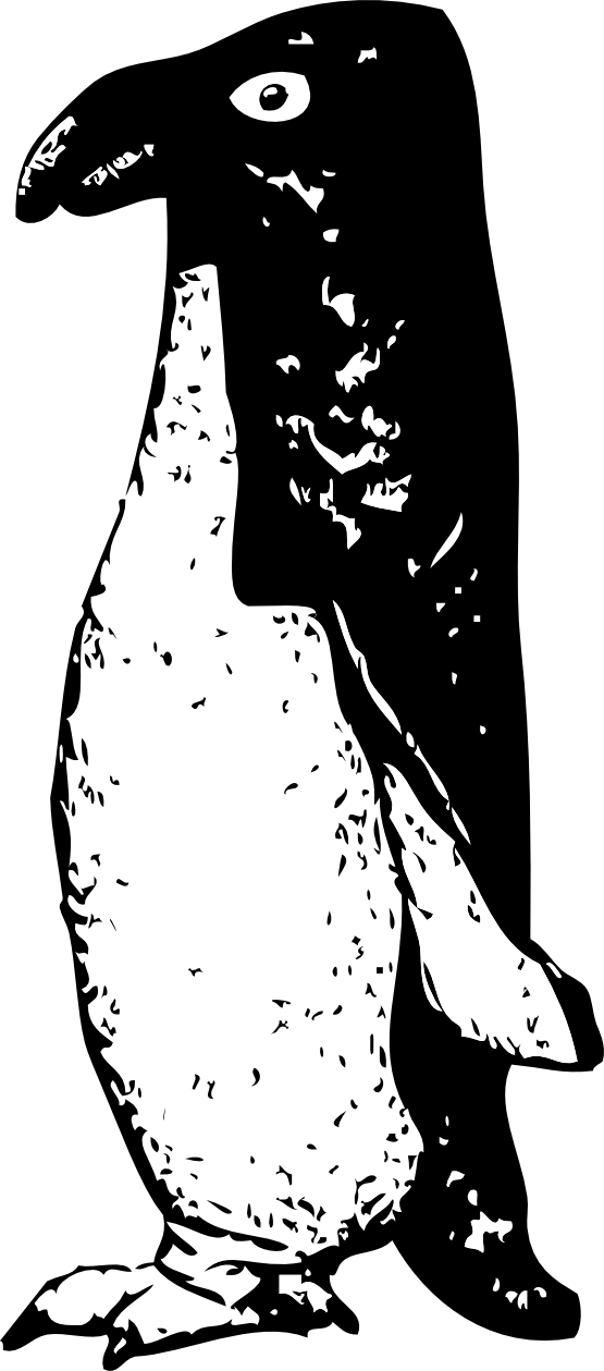 Funky Penguin Black White Line Art 555px - Clip Art (555x1259)