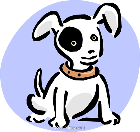 Filhote De Cachorro Com Olho Roxo Livre De Direitos - A Pet's Paradise (480x454)