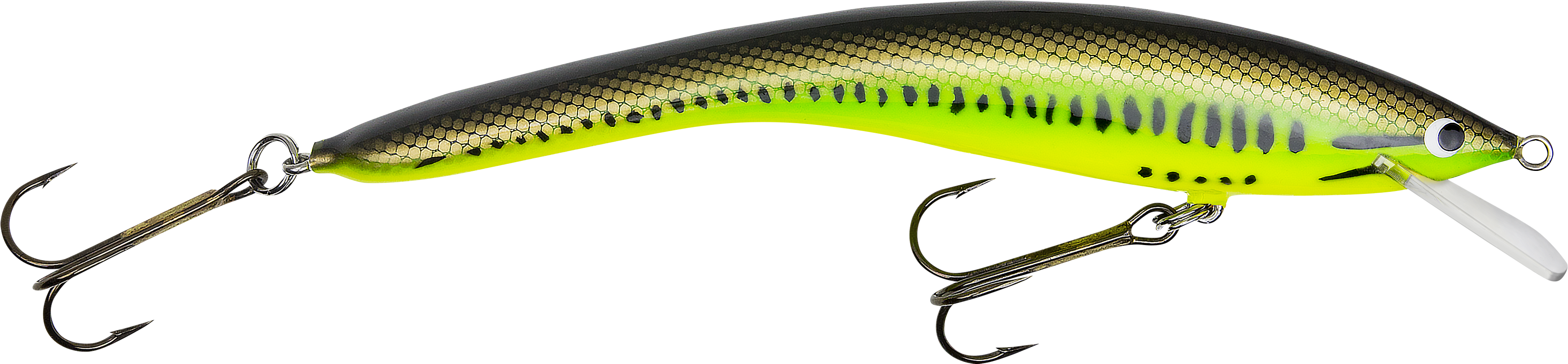Full Size Of Rare Big Fish Bait Co Pictures Ideas Bagley - Fishing (3803x937)