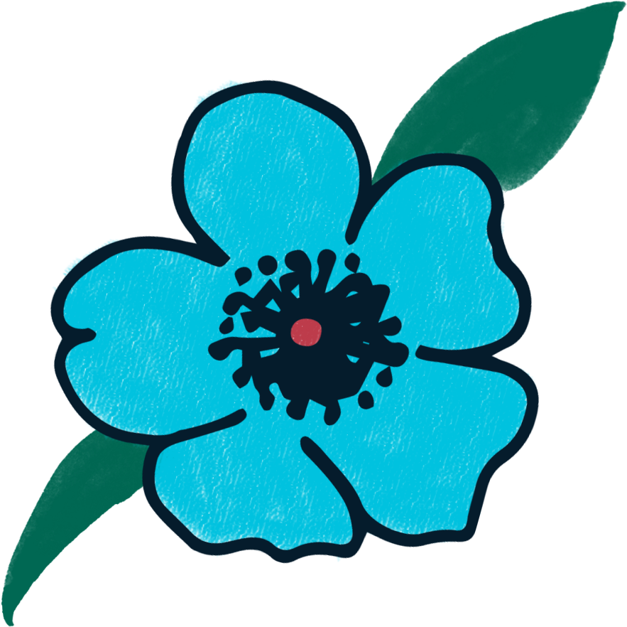 I Have Another Painted Flower For You This Week - I Have Another Painted Flower For You This Week (900x900)