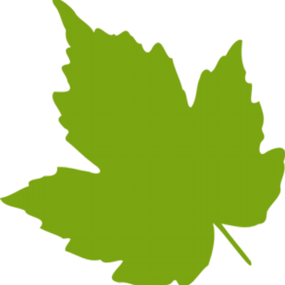 Epsom Mums - Grape Leaf Clip Art (400x400)