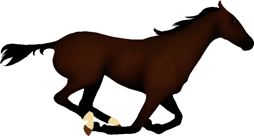 Horse Clipart Animation - Rider On The White Horse (1000x767)