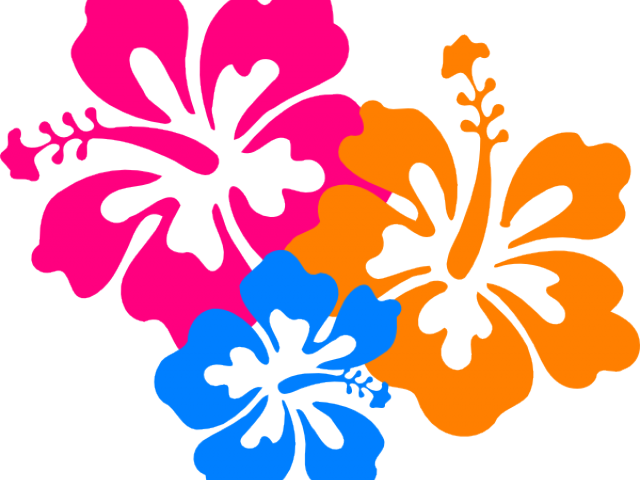 Related Cliparts - Hibiscus Flower Clipart (640x480)