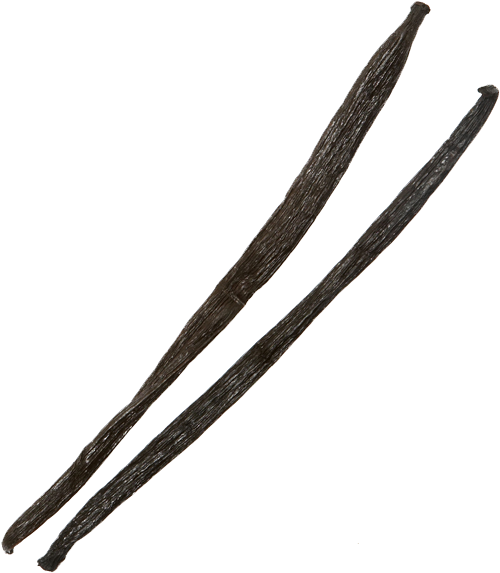 Vanilla Bean Png Transparent Image - Vanilla Bean Png (600x600)