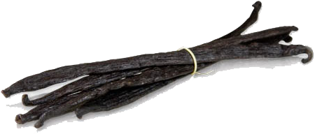 Vanilla Bean Png Hd - Vanilla (525x400)