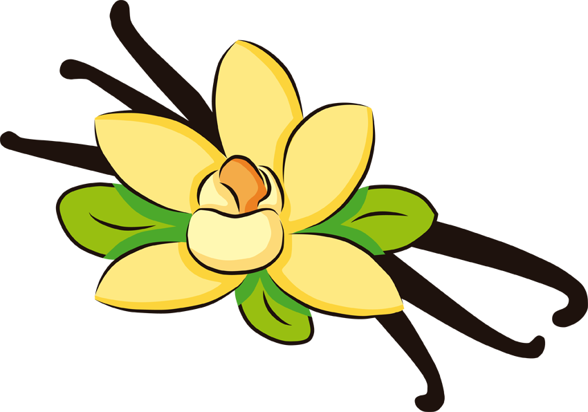 Vanilla Extract Ice Cream Cones - Vanilla Clip Art (850x596)