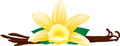 This Is Not The Flavor You're Expecting From The Orchid - Artificial Flower (387x387)