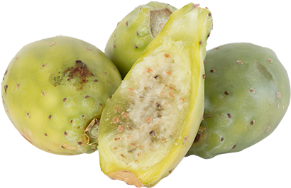 Tuna Verde - Barbary Fig (461x299)