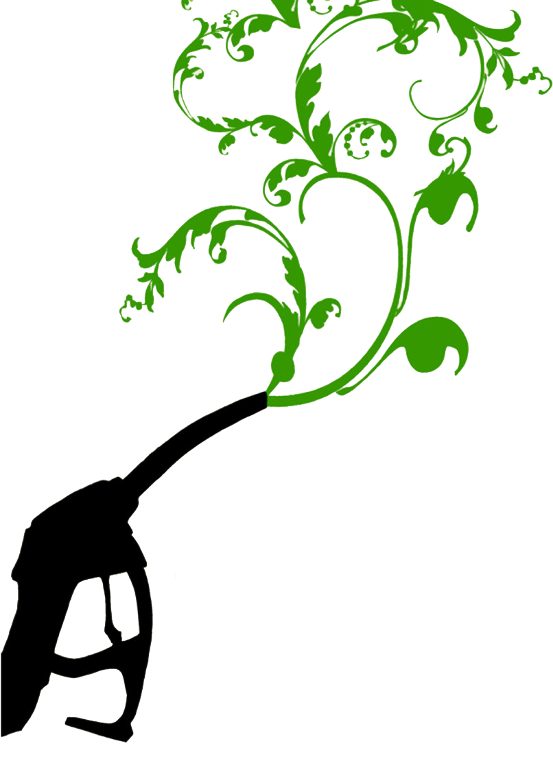 Biodiesel - Autocollants Muraux Mf409 Belles Planteses Tribauxes (806x1125)