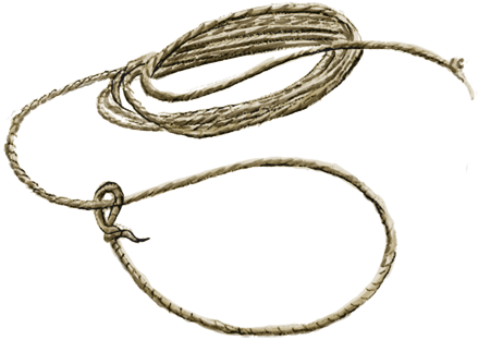Lasso Group - Lasso Rope Png (450x328)