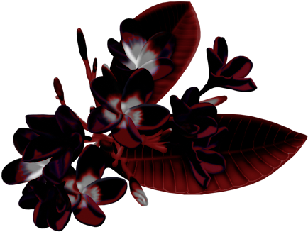 Png Güller,papatyalar,demet Çiçekler ,buketler,çiçek - Flower (450x339)
