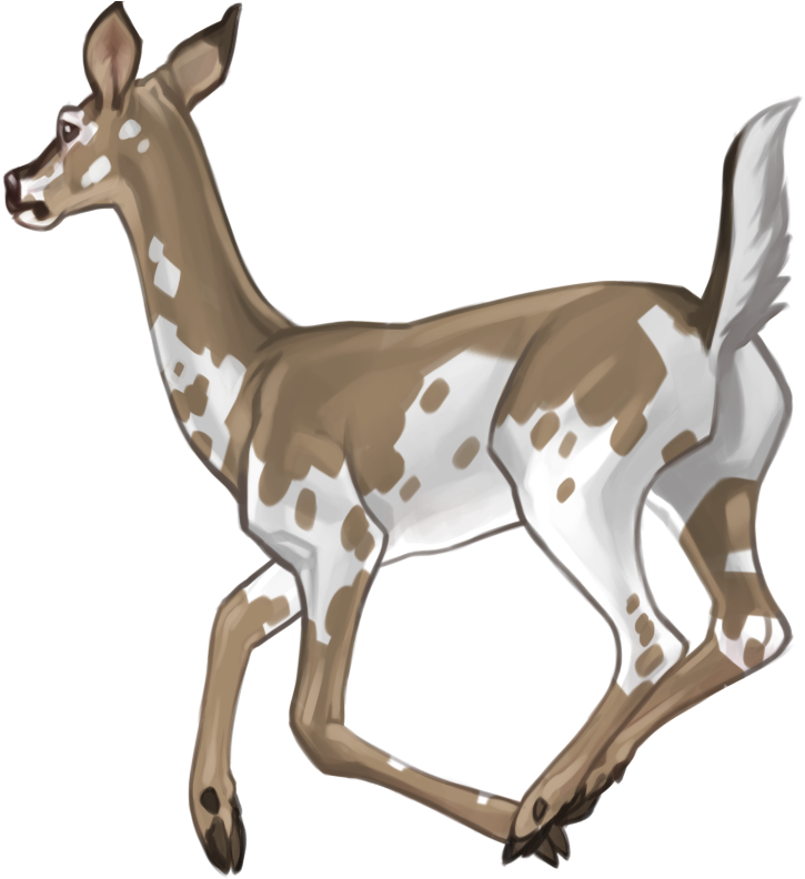 And Hellion - Roe Deer (800x800)