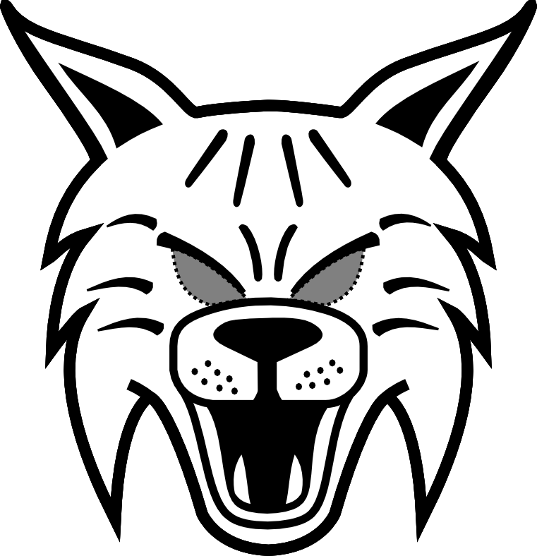 Bobcats Easy To Draw For Kids - Draw A Wildcat Face Easy (761x788)