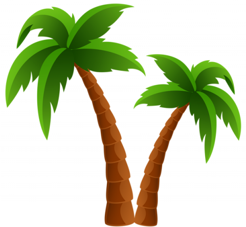 Beer And Rage - Clip Art Palm Tree (480x453)