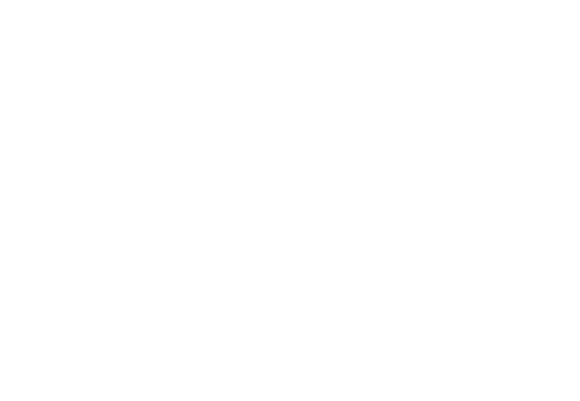 Presence - Floorforce, Llc. (527x364)