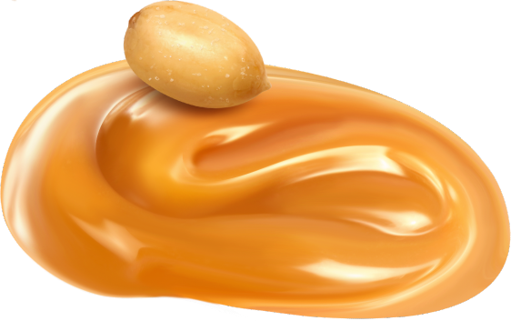 Caramel Clipart Transparent - Peanut (562x353)