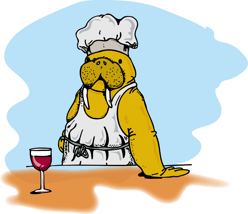 New Walrus - Walrus Drinking Beer (800x692)