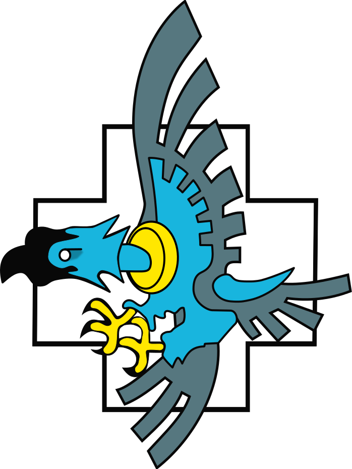 317th Polish Fighter Squadron - Polish Spitfire Squadron Insignia (698x930)