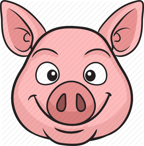 Pig Face Cartoon (504x512)