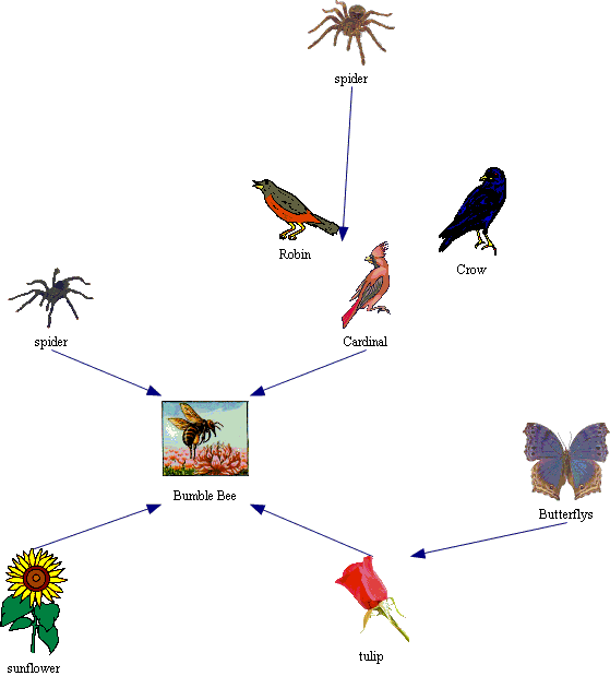 559x619 Png Clipart Download Biology Diagrams