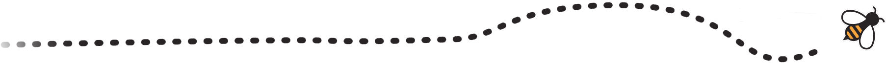 9720 N Buzzing Bee Trail - Line Art (1820x131)