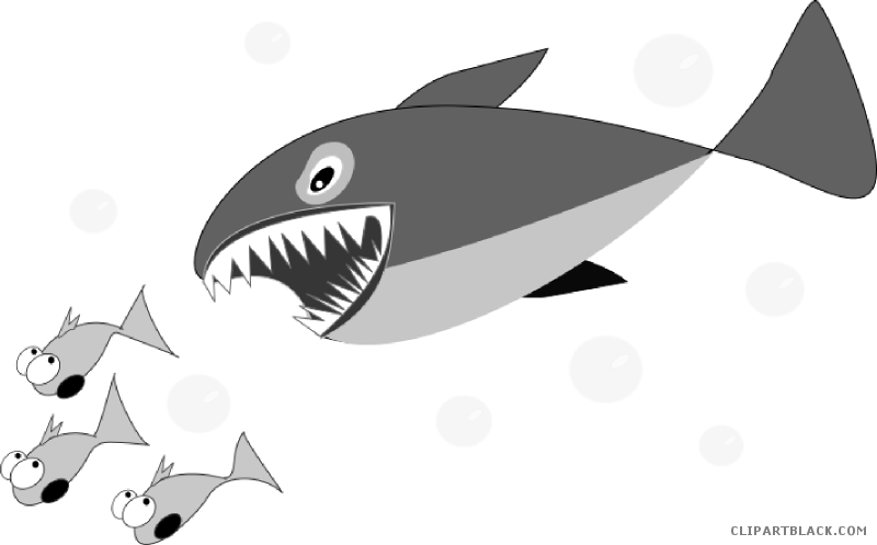 Shark Animal Free Black White Clipart Images Clipartblack - Shark Chasing A Fish (800x497)
