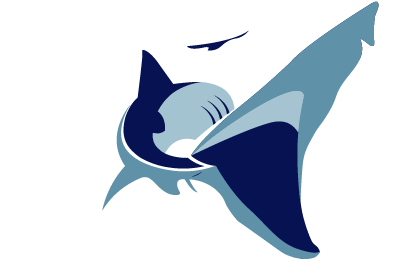 Sea Wild Scotland Logo - Sea Wild Scotland (501x317)