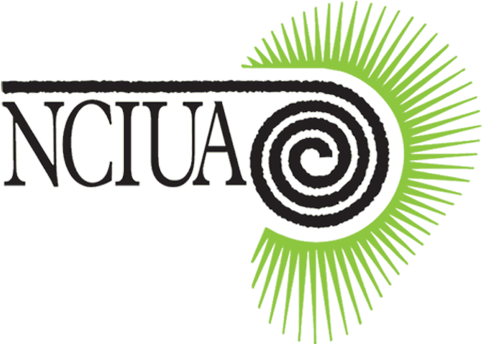 Cochlear Implant (723x498)