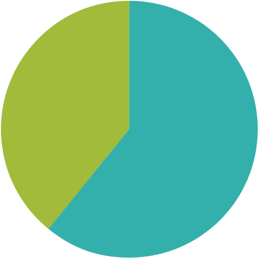 61% Women 39% Men - Portrait Of A Man (527x530)