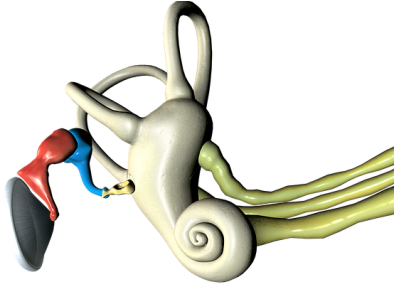 44 - - Illustration (512x289)