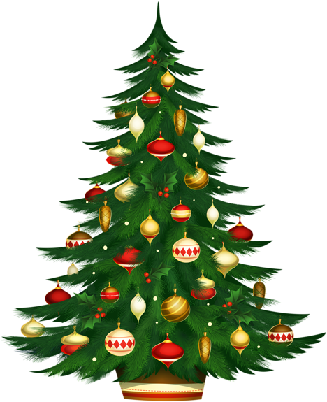 Christmas Tree Photos - Christmas Tree Png (485x600)