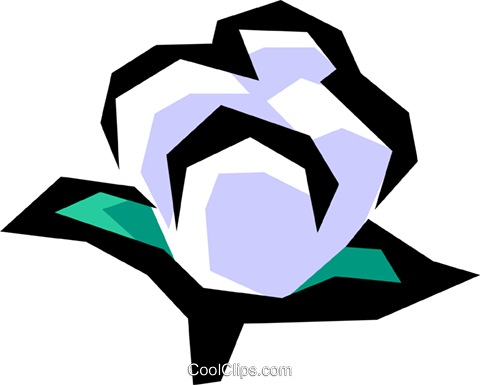 Cotton Royalty Free Vector Clip Art Illustration - Baumwolle Clip Art (480x385)