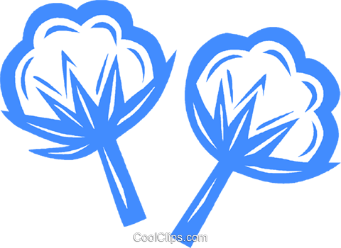 Cotton Royalty Free Vector Clip Art Illustration - Algodão Planta Desenho Png (480x350)