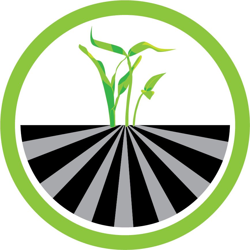 Vector Graphics (931x931)