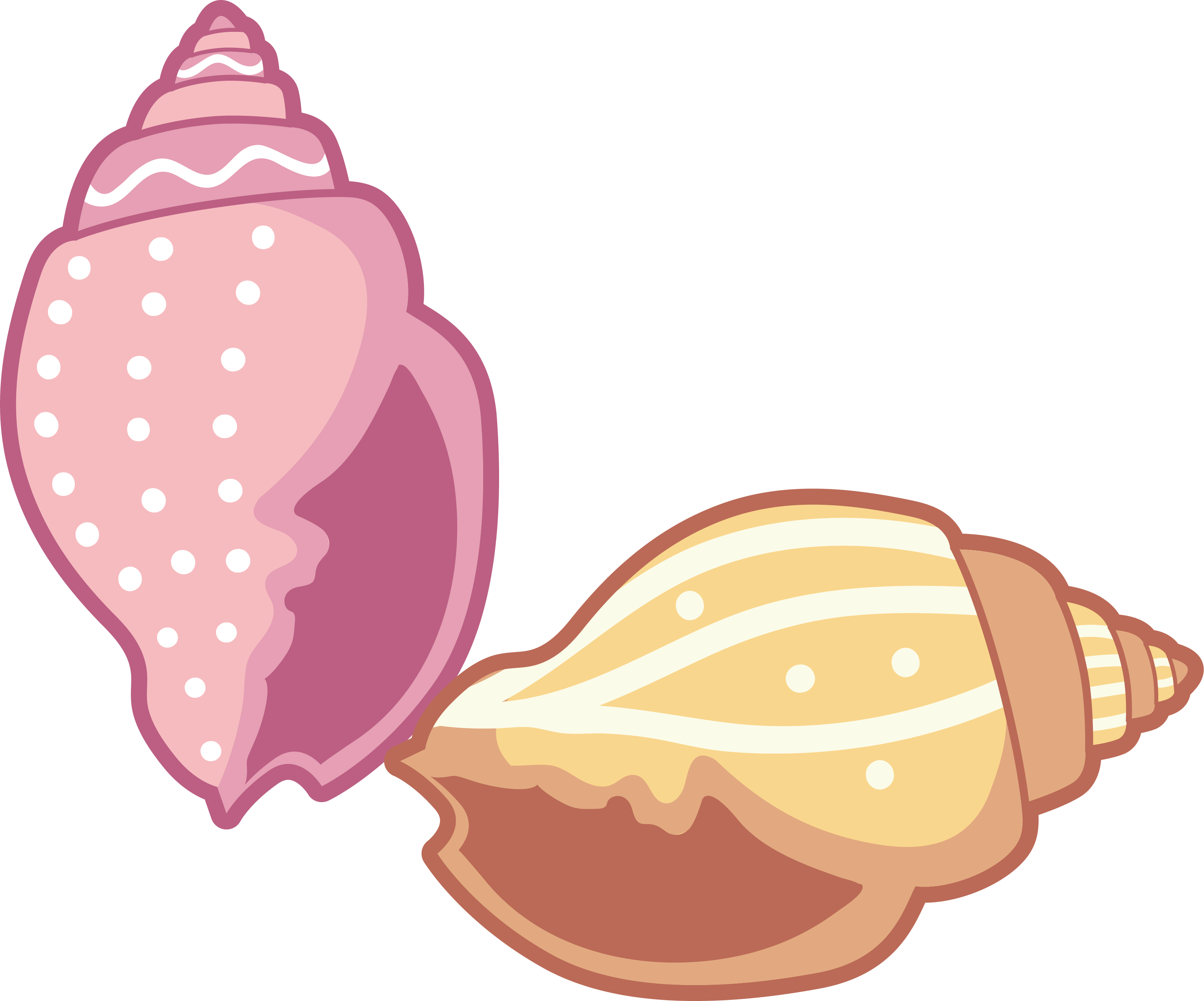 Conch Clip Art - Seashell (3252x2703)