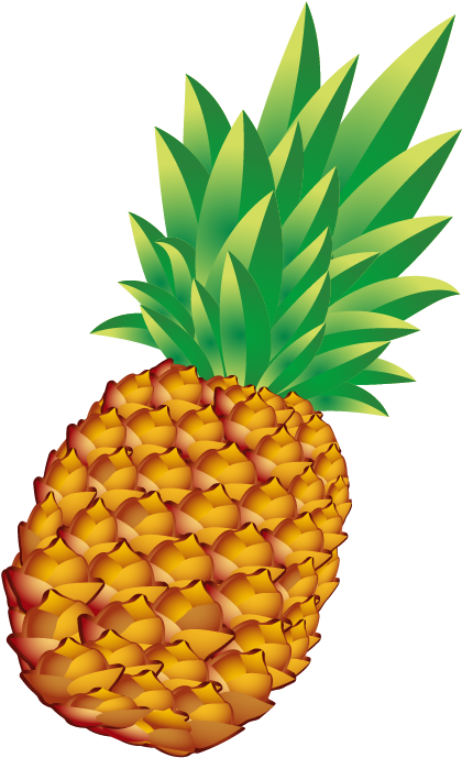 Pineapple Bun Euclidean Vector - Giant Set Of Vector Fruits. Clear Rectangle Magnet (591x729)