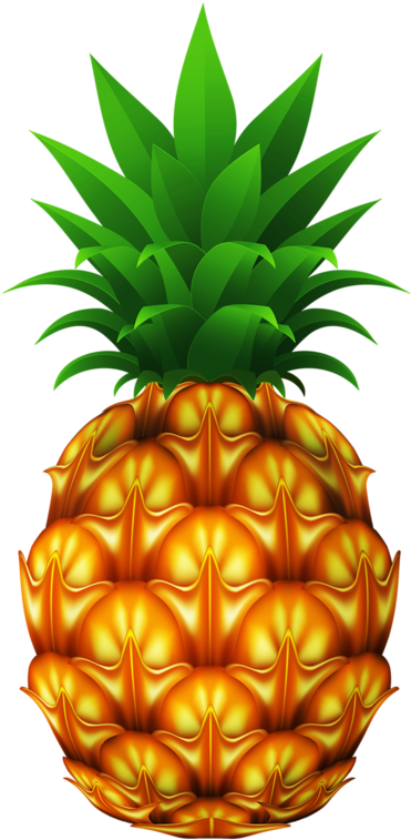 Explore Pineapple Design, Pineapple Vector And More - Ananas Png (447x800)