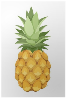 Brazilian Acai Bead Necklace (400x400)