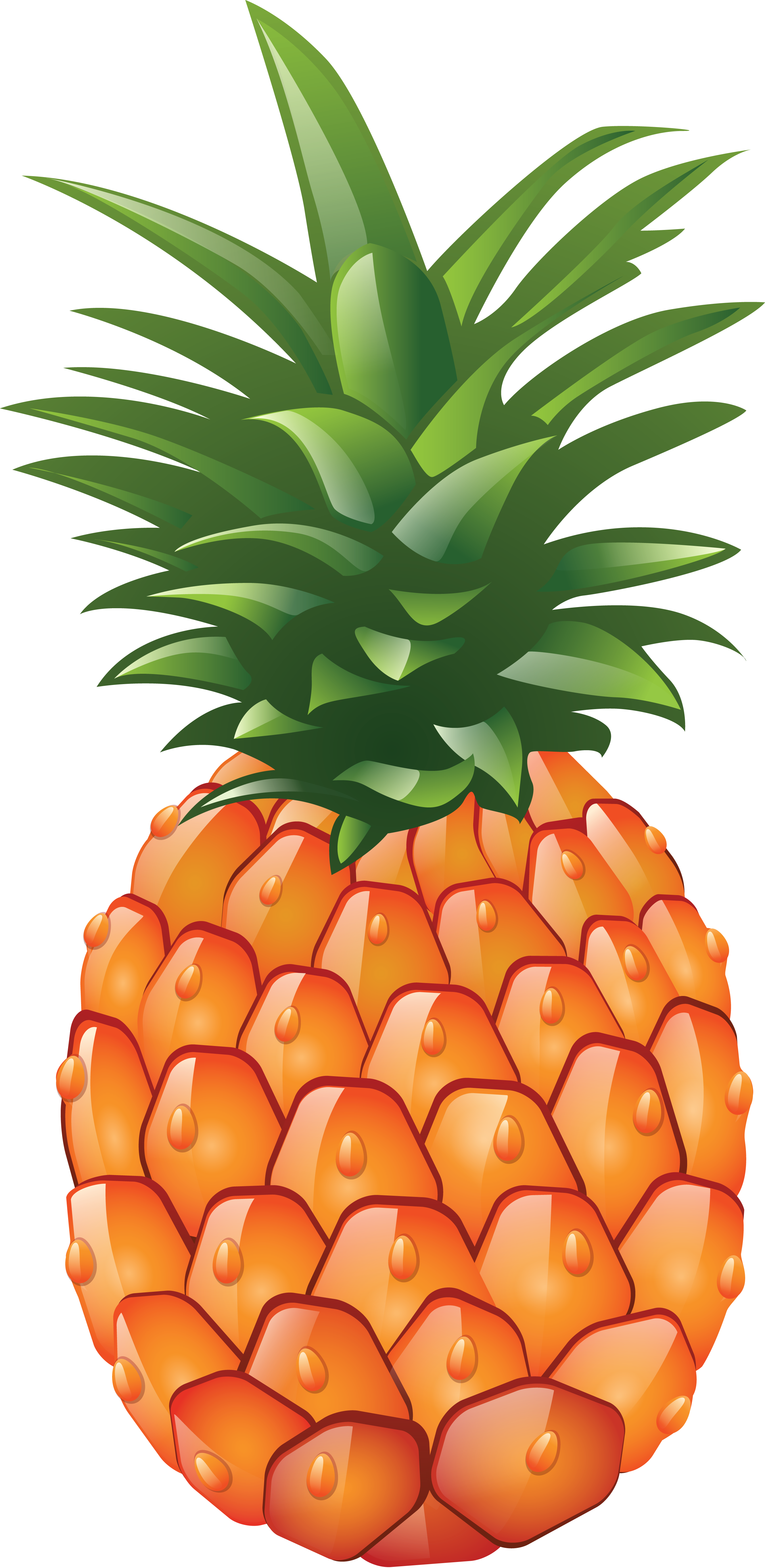 Cartoon Pineapple Cliparts - Pineapple Clipart Png (2661x5455)
